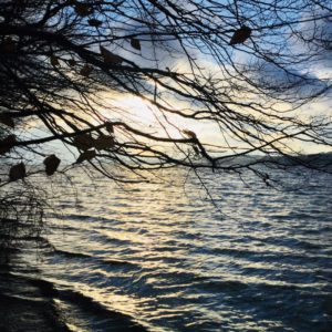 Starnberger See Ambach Abendstimmung