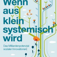 2019_Ashoka_McKinsey_Studie_Wenn aus klein systemisch wird